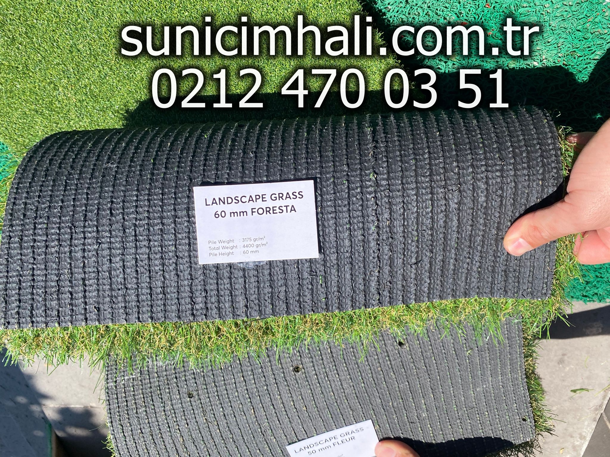 60-MM-FORESTA-CIM-HALI-SW.jpg
